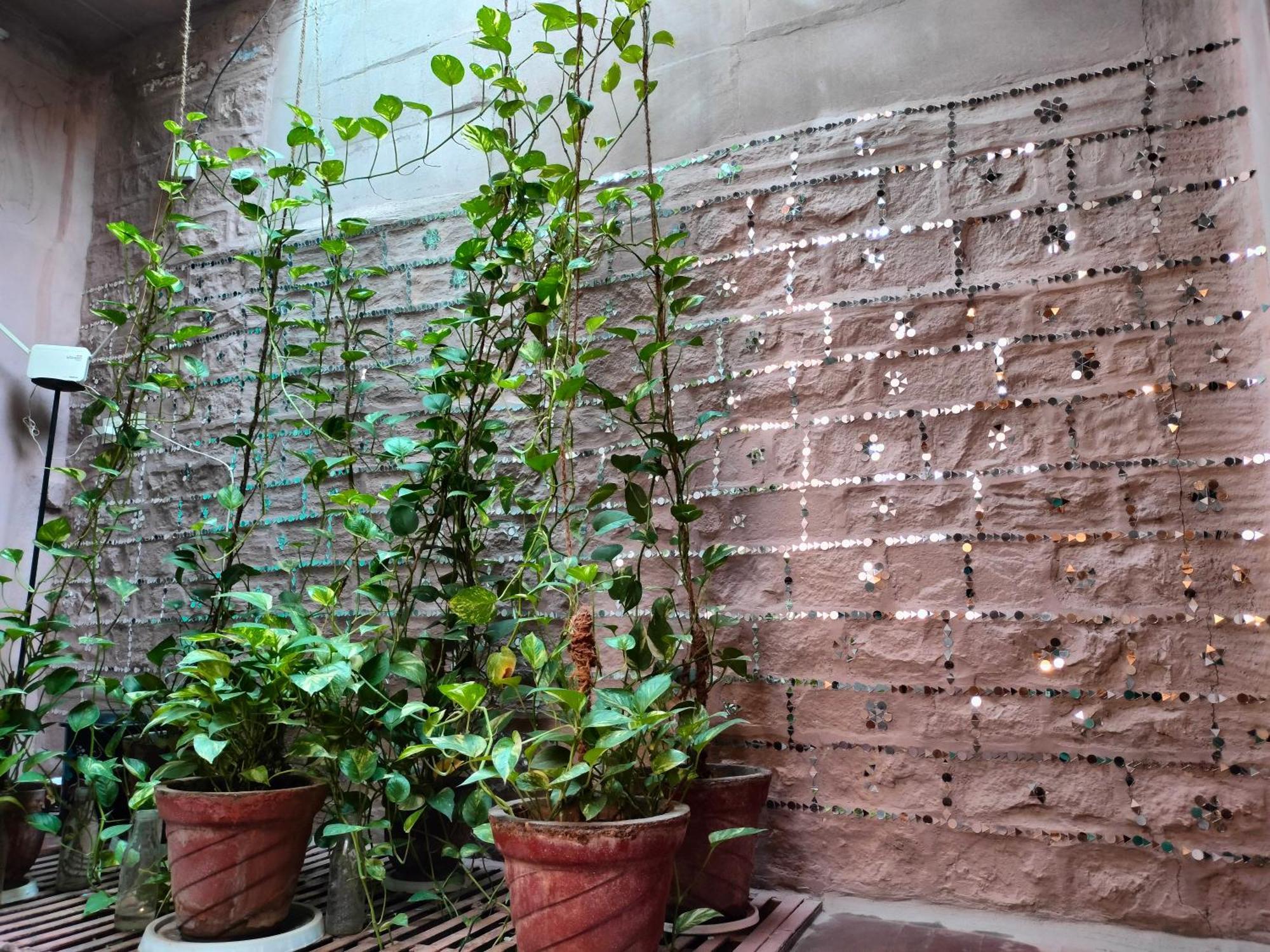 מלון ג'ודפור Casa De Jodhpur מראה חיצוני תמונה